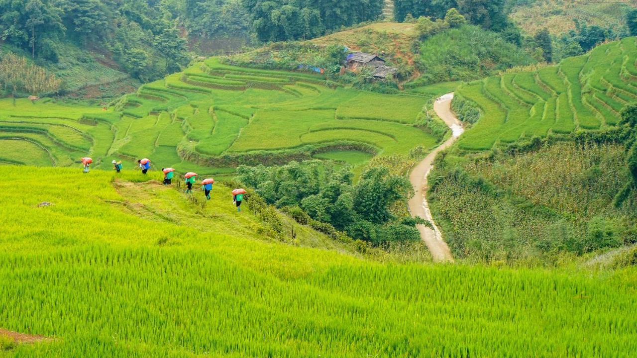 Sapa Fantasea Homestay Екстериор снимка